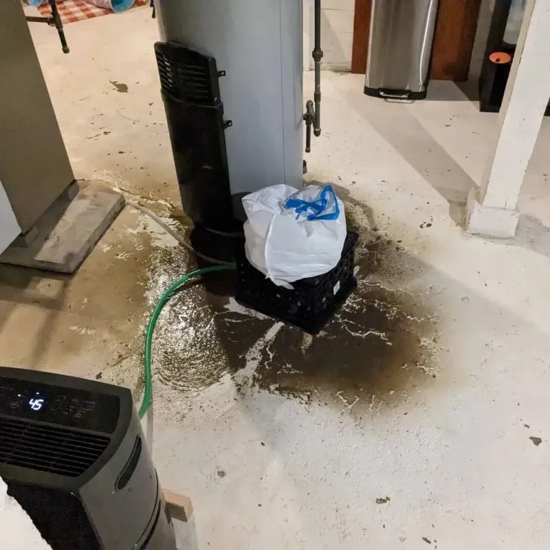 Sewage Backup Cleanup Service in Dumbarton, VA